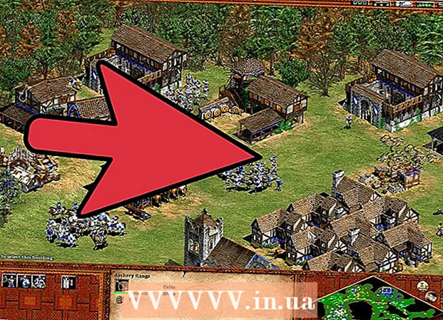 How to build an efficient economy in Age of Empires 2