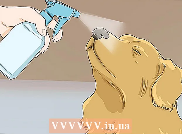 كيفية تقديم قطة لكلب