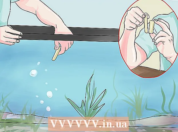 Cum să preveniți moartea peștelui în timp ce sunteți în vacanță