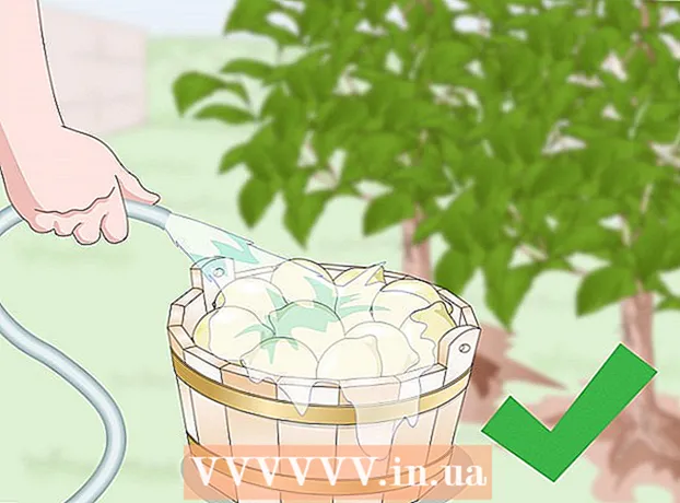 Kā pagatavot ķiploku dārza aerosolu