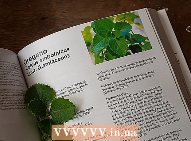 Cómo hacer jarabe para la tos con hojas de orégano