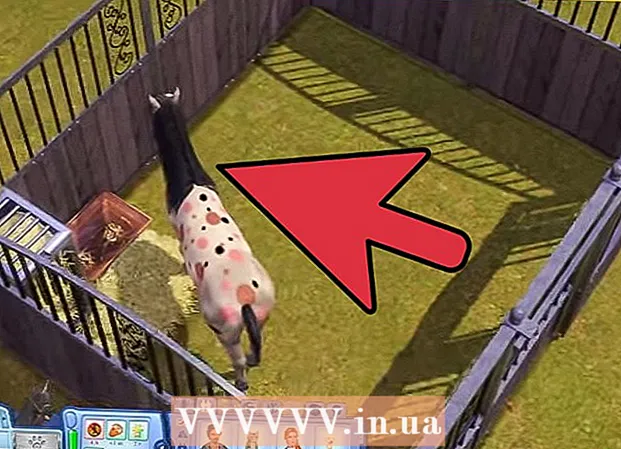 Hvordan adoptere en enhjørning i en familie i The Sims 3 Pets (PC)