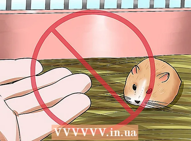 Kaip sutramdyti nykštukinį žiurkėną