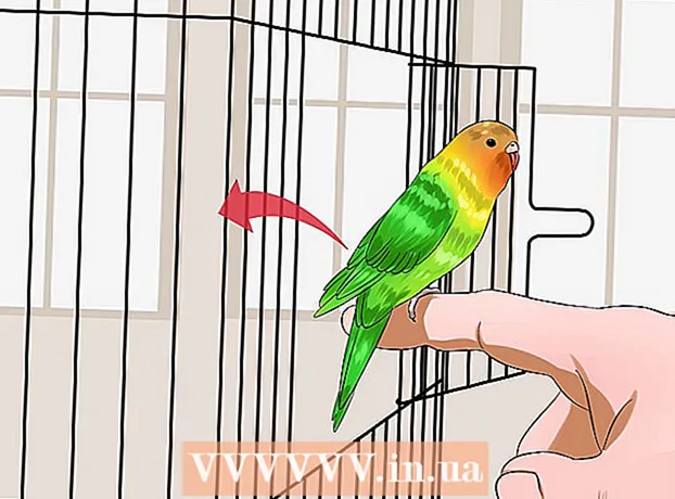 Si të zbutni një zog