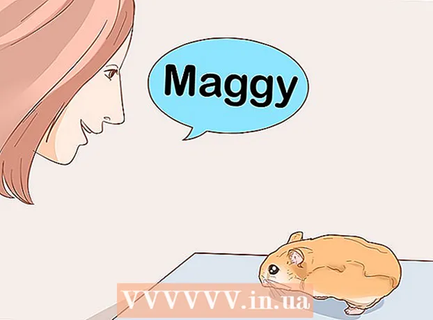 How to train your hamster to come when you call