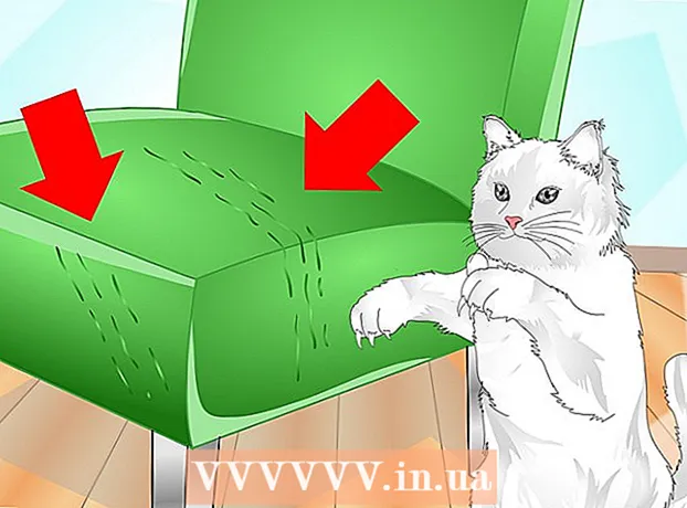 How to train your cat to use a scratching post
