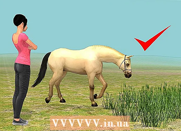 馬に乗るように訓練する方法