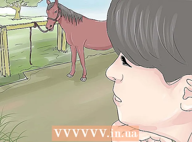 Hoe leer je je paard om niet te bijten?