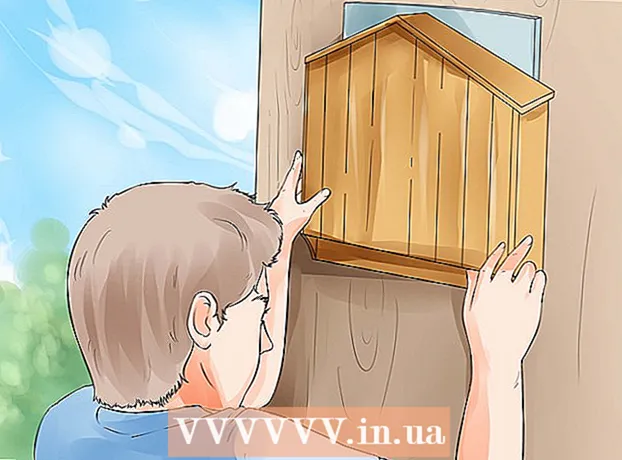 Kako pritegniti netopirje na svoje dvorišče