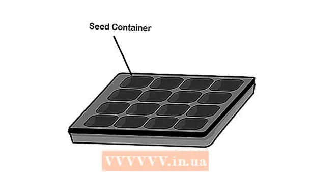 Como fazer germinar sementes