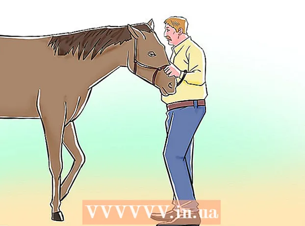 Kaip išmokyti arklį per septynias „Parelli“ žaidimus