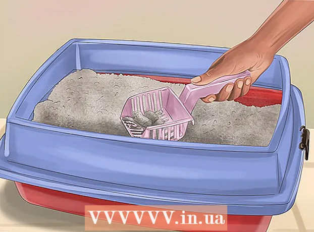 Kako očistiti mačke od glista