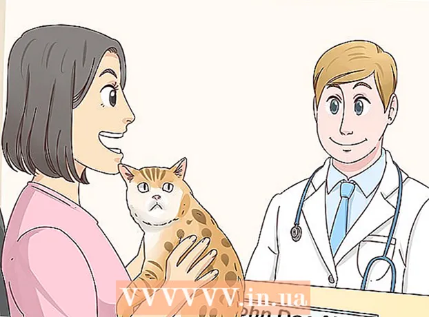 כיצד לזהות חתול בנגלי