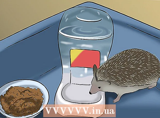Ako urobiť dom pre svojho ježka