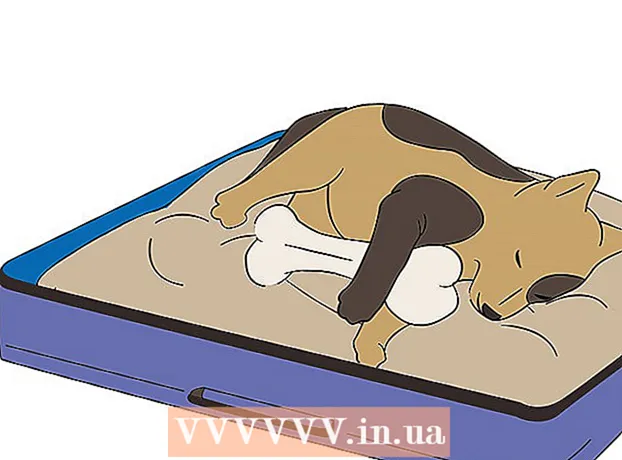 Kako narediti posteljo za psa