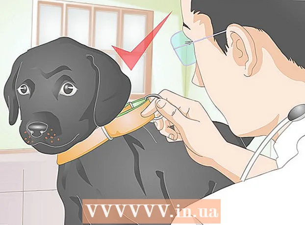 Ako si vyrobiť obojok pre psa