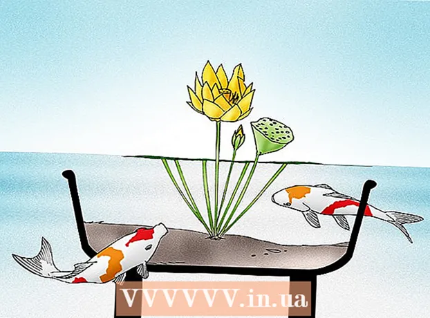 Hvordan lage en lotusblomsterdam