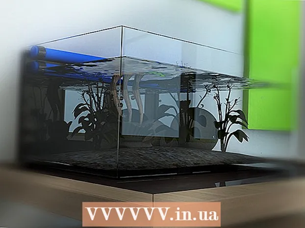 Як зробити так, щоб акваріум мав професійно оформлений дизайн