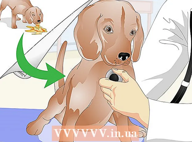 How to inject a dog