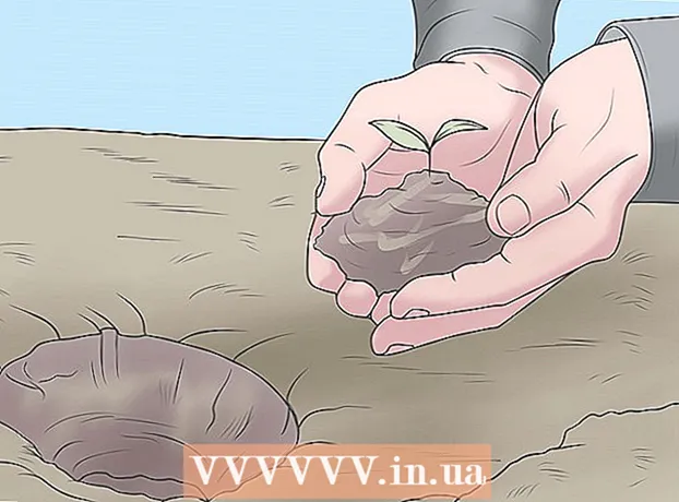 Si të bëni një gropë plehrash