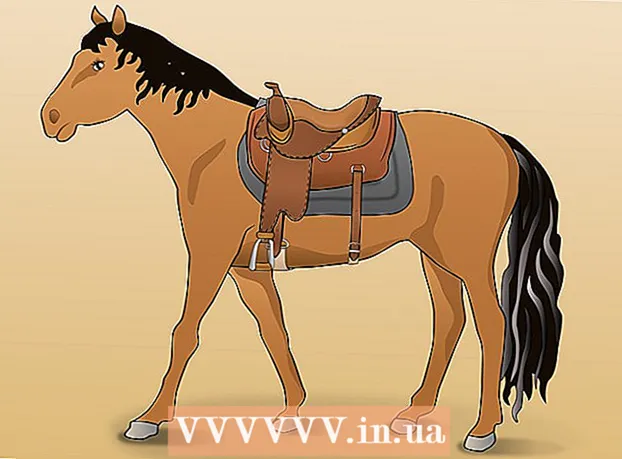 Cómo ensillar un caballo con una silla occidental