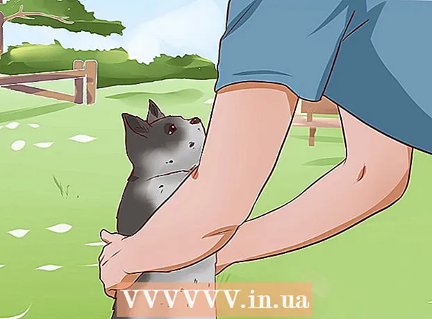 Как да премахнете котка от дърво