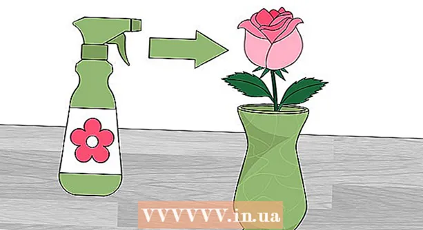 How to keep a rose
