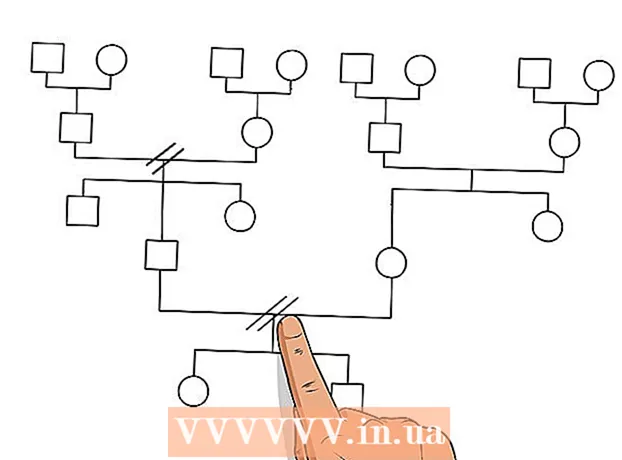 How to create a genogram