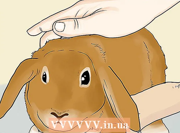Hvordan lage det rette lekemiljøet for kaninen din i et bur