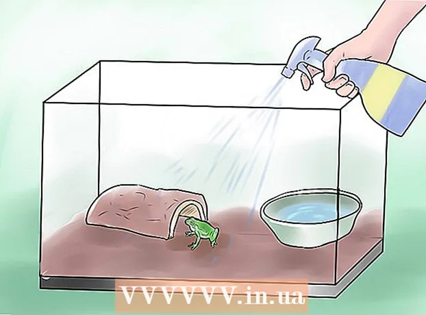 Como criar o ambiente certo para um sapo