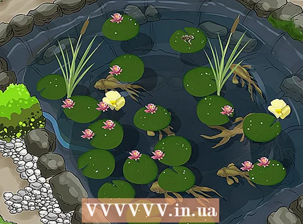Comment créer un étang