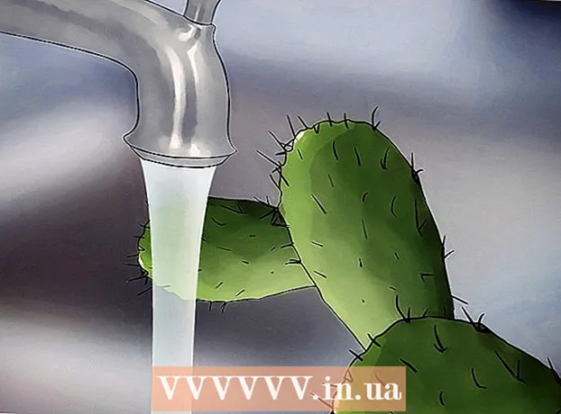 Hvordan redde en døende kaktus