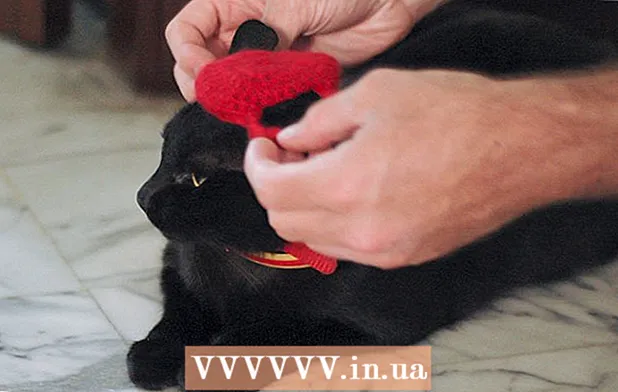 Как да плетене на една кука шапка за котка