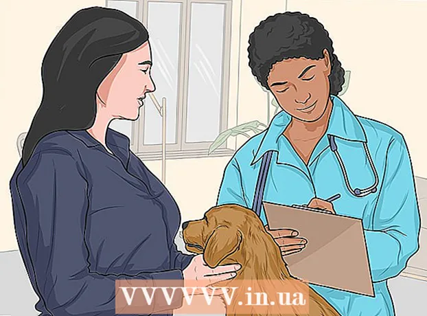Jak usunąć sierść psa z mebli?