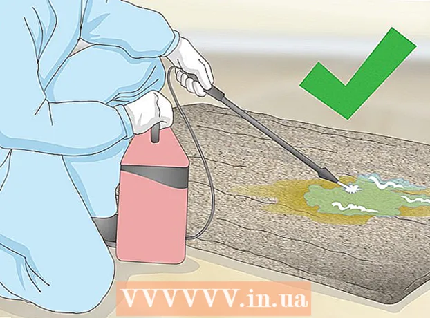 Como remover uma mancha de urina de cachorro antigo