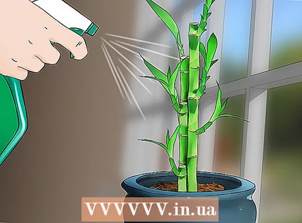 Come prendersi cura del bambù indoor