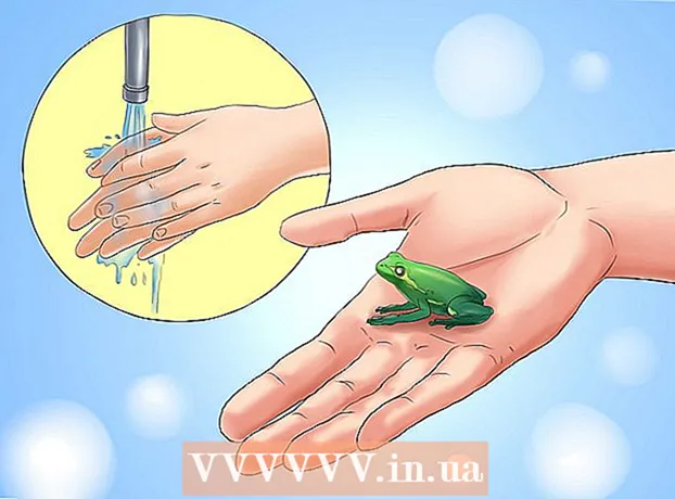 כיצד לטפל בצפרדע עץ מלכותי