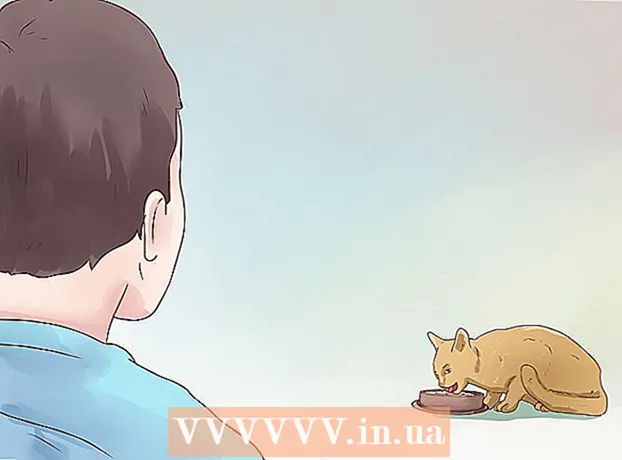Πώς να φροντίσετε μια διαβητική γάτα