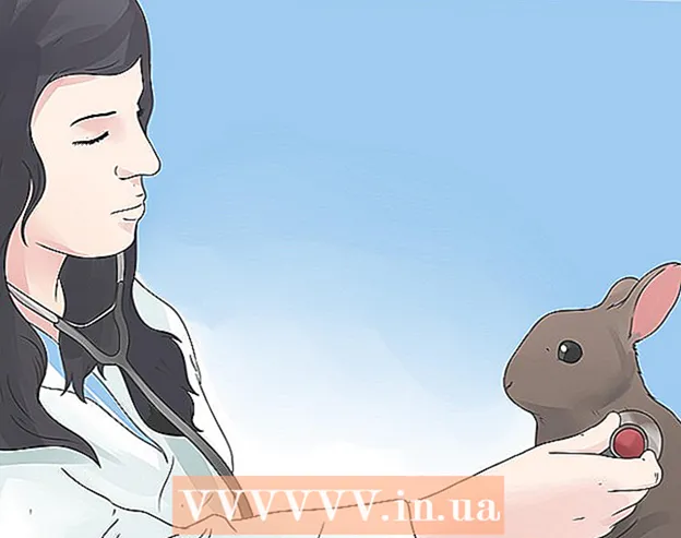 Cómo cuidar a los conejos minilope