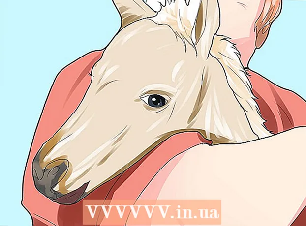 How to care for a foal