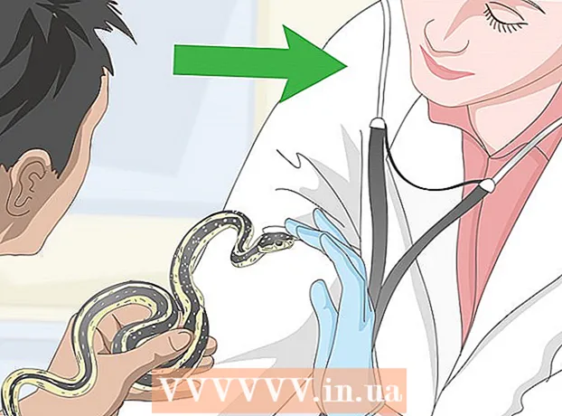 Come prendersi cura dei serpenti?