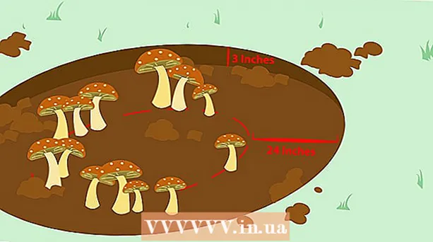 Cómo matar hongos