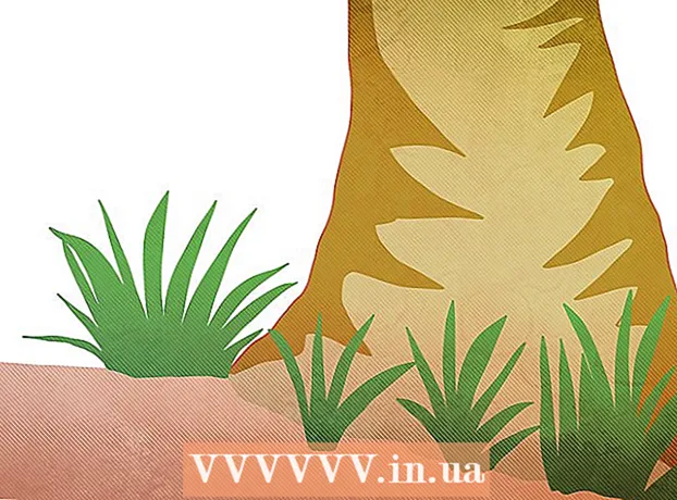 Як знищити рослини юка