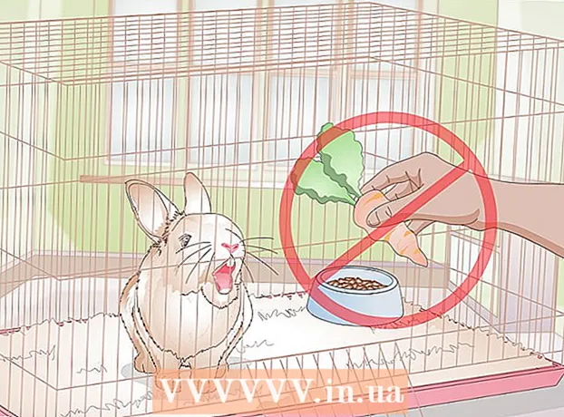 Cómo calmar a un conejo agresivo