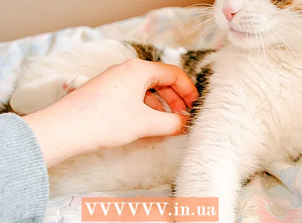 Ako upokojiť mačku masážou
