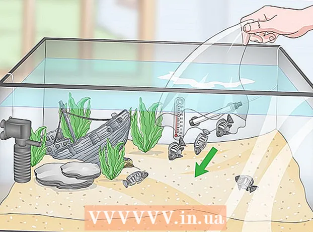 Как да създадете тропически сладководен аквариум