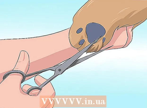 Cómo eliminar el mal olor a perro