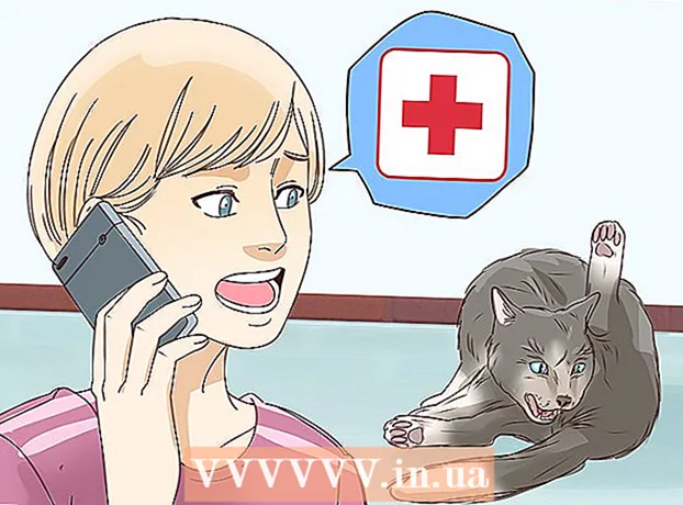 Hvordan vite om en katt føder