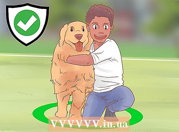 Como saber se o seu cachorro te ama