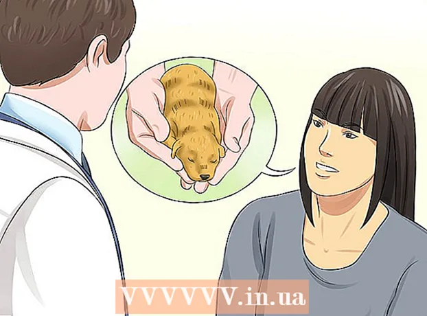Hogyan lehet megtudni a kiskutya nemét
